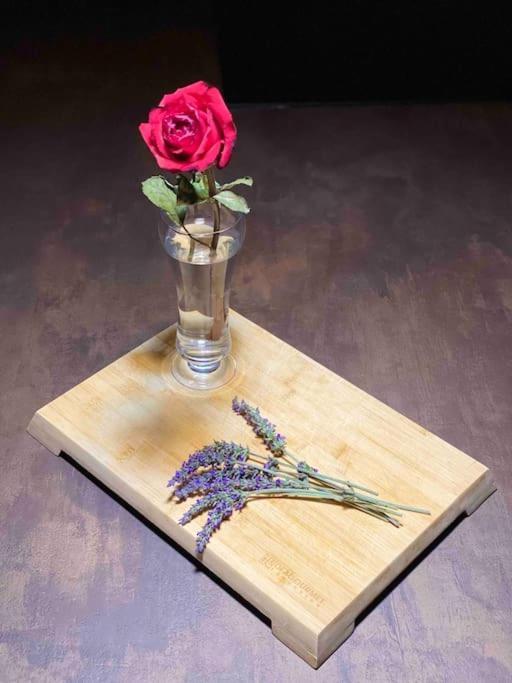 Cecchina The Wild Lavender 아파트 외부 사진
